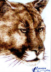 cougarcard.jpg