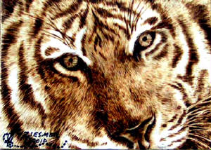 tiger2.jpg
